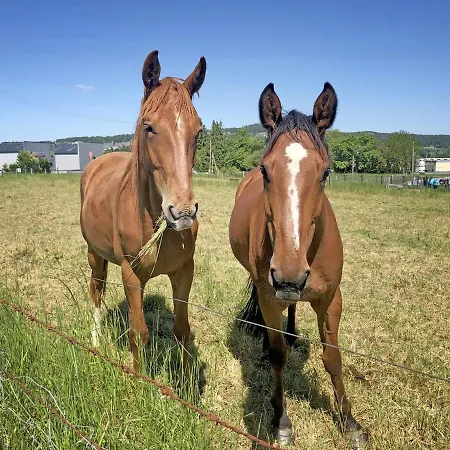 Hotel Les Closeaux Phil 3*