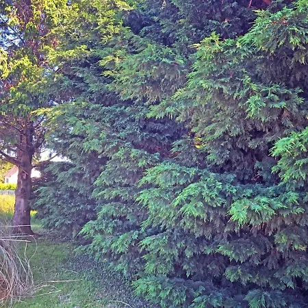 Hotel Les Closeaux Phil 3*