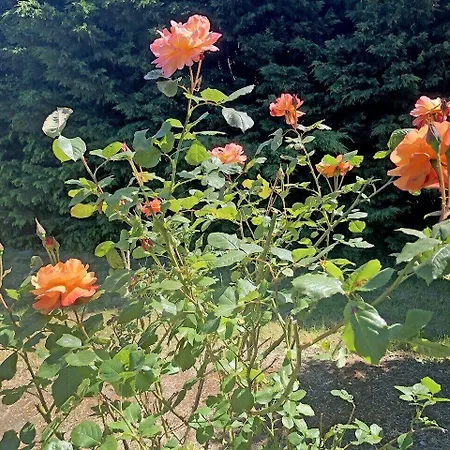 호텔 Les Closeaux Phil 모르탱