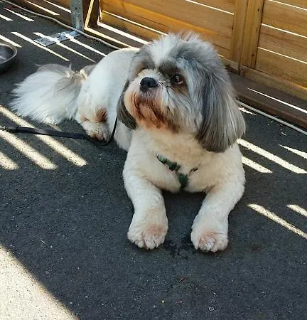 Les Closeaux Phil 호텔 모르탱