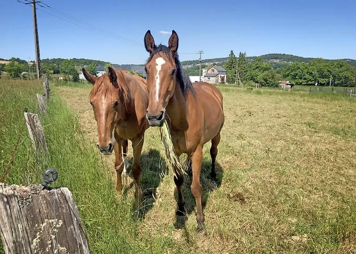 Les Closeaux Phil 3*