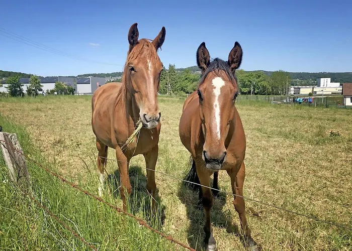 Hotel Les Closeaux Phil 3*