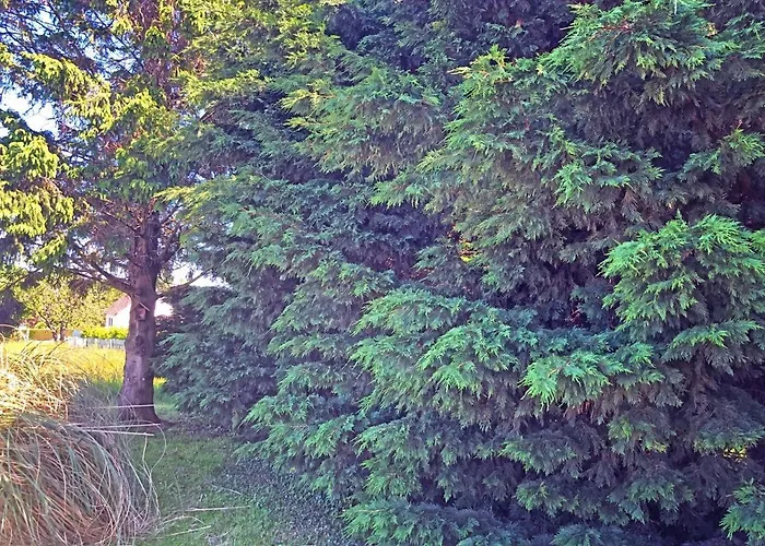 ホテル Les Closeaux Phil 3*