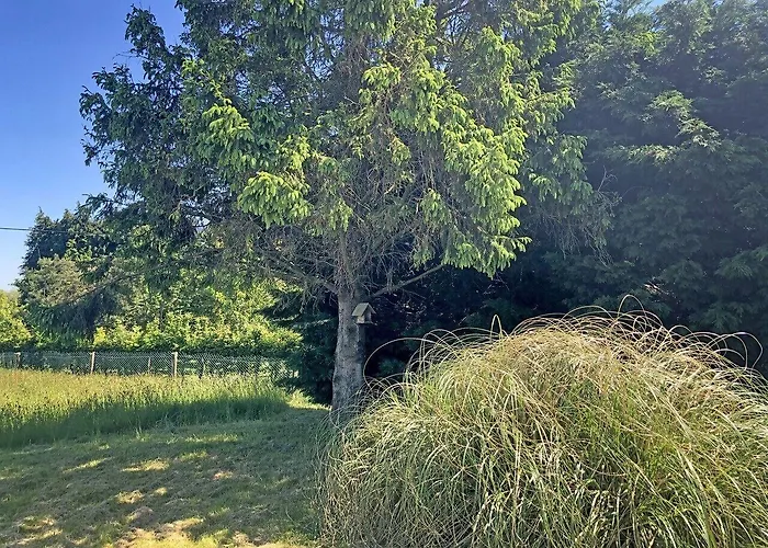 Les Closeaux Phil ホテル Mortain-Bocage