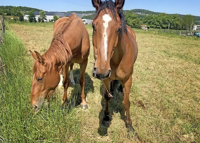 ホテル Les Closeaux Phil Mortain-Bocage