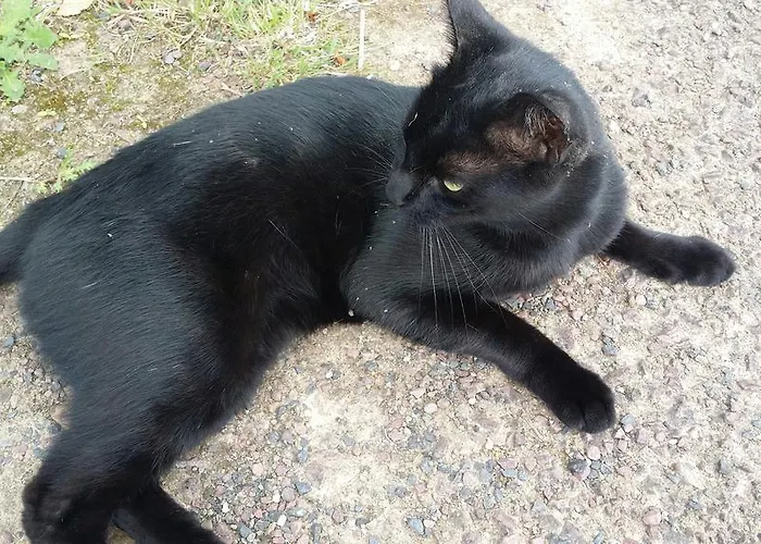 ホテル Les Closeaux Phil Mortain-Bocage