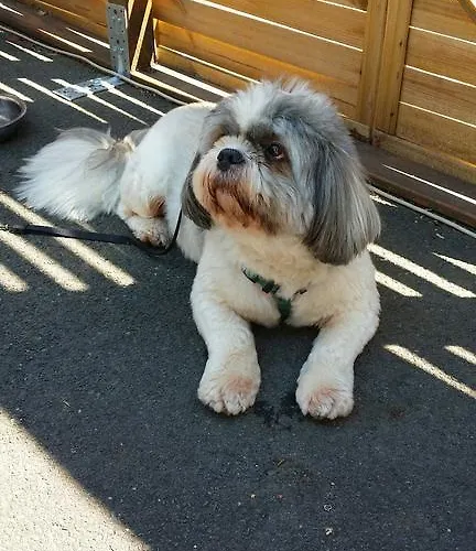 Les Closeaux Phil ホテル Mortain-Bocage